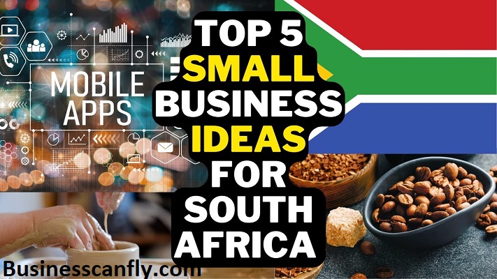 Best small business ideas in South Africa that actually work in 2023